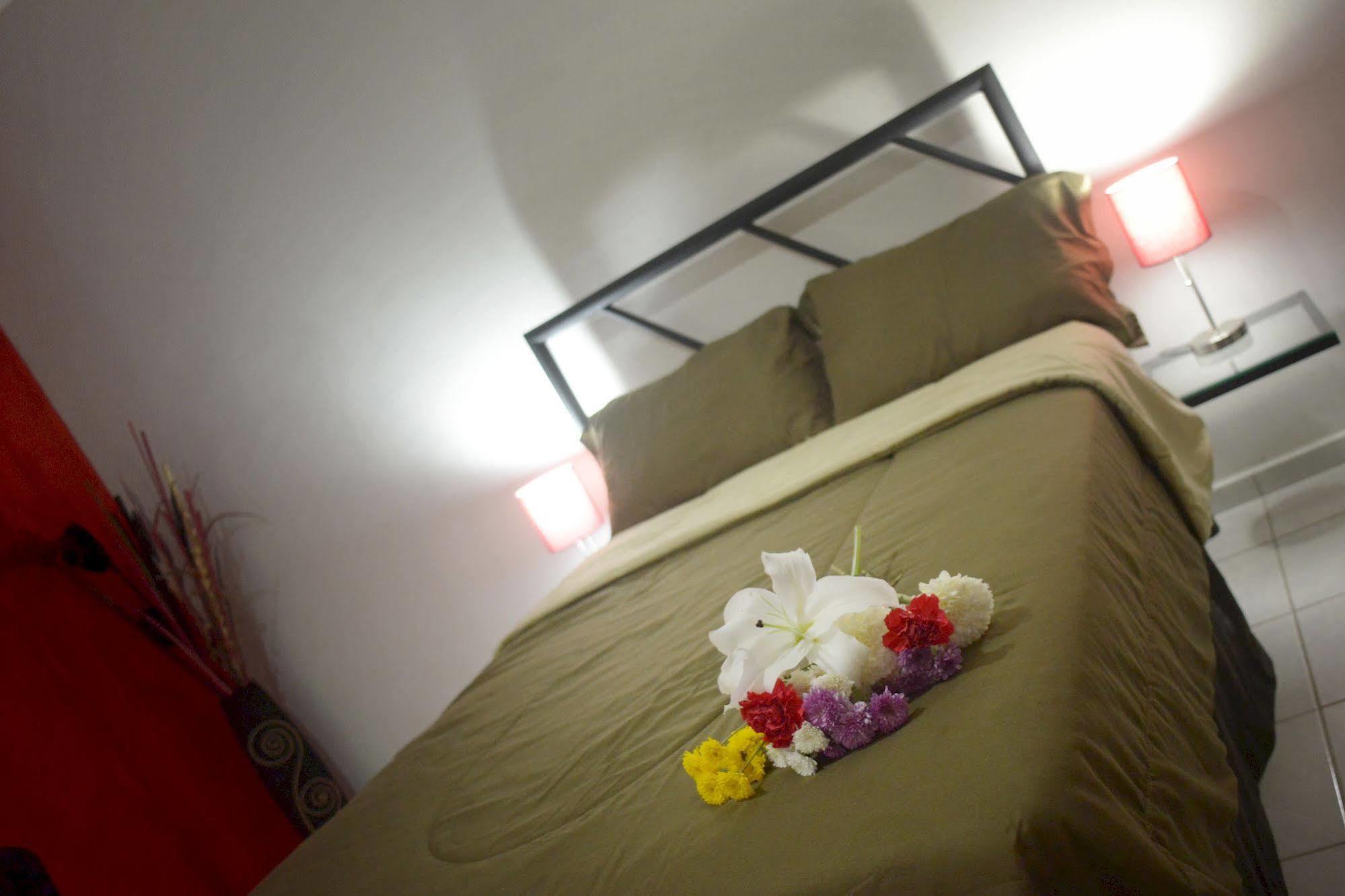 Hotel Plaza Providencia Ixtapa  Extérieur photo