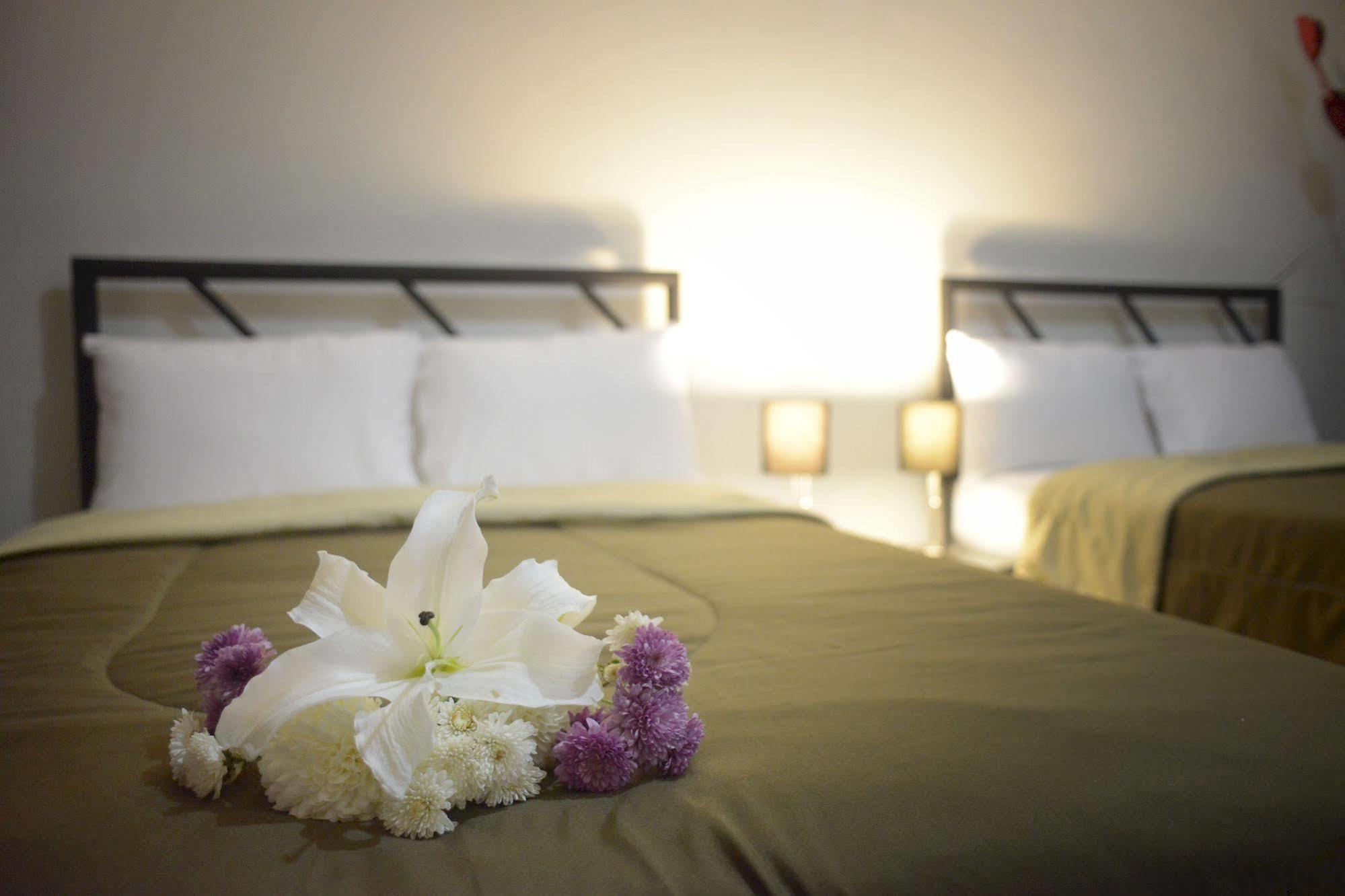 Hotel Plaza Providencia Ixtapa  Extérieur photo