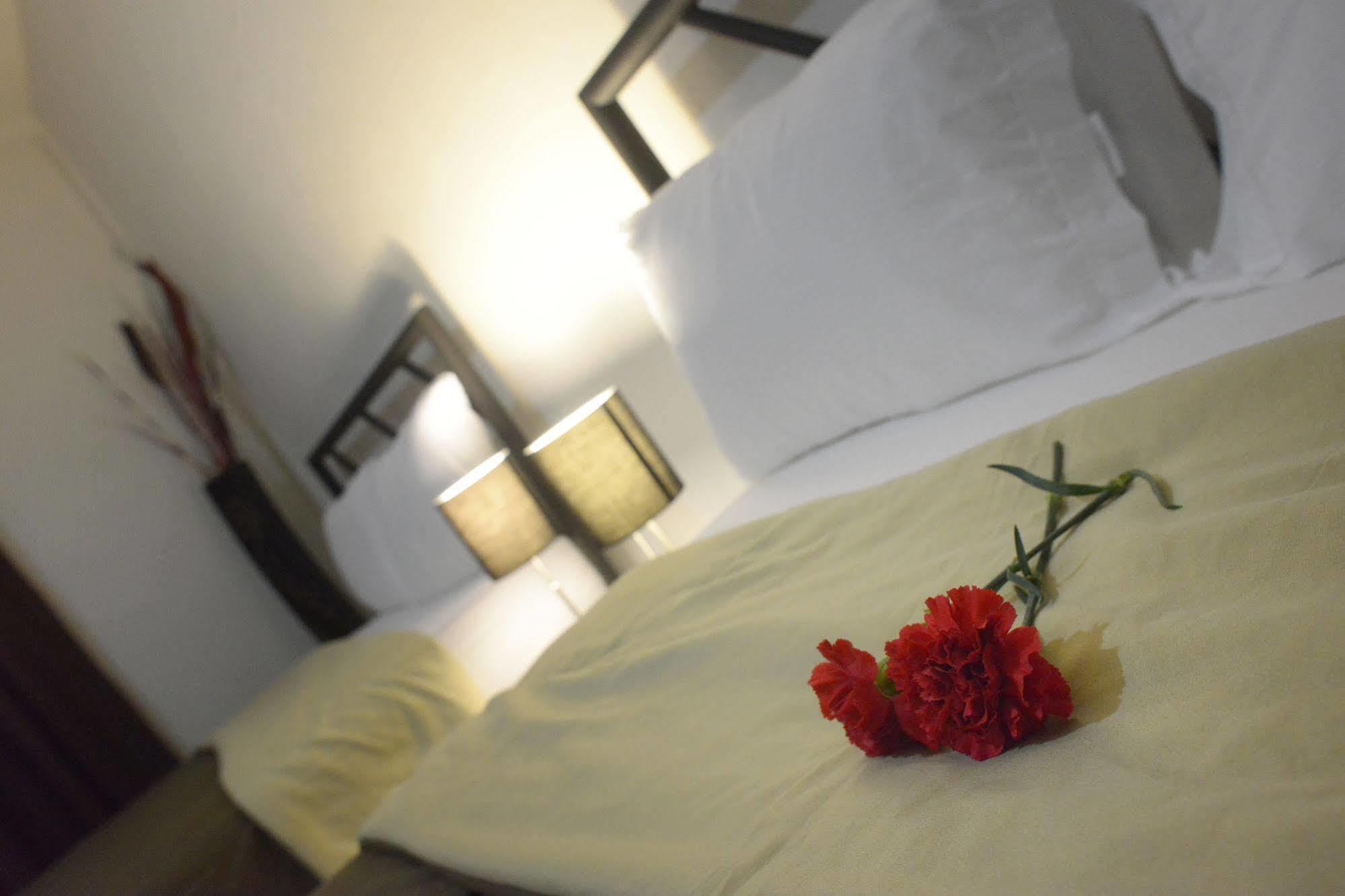 Hotel Plaza Providencia Ixtapa  Extérieur photo